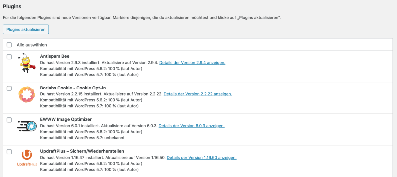 Website Frühjahrsputz Plugins überpruefen