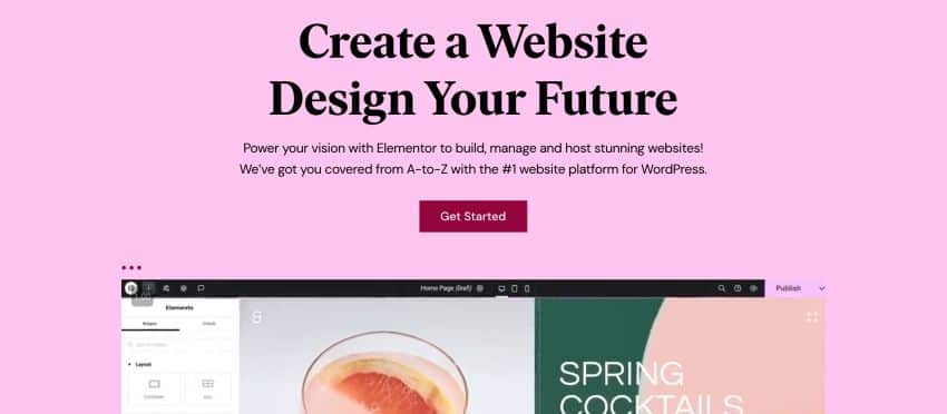 Elementor Black Friday